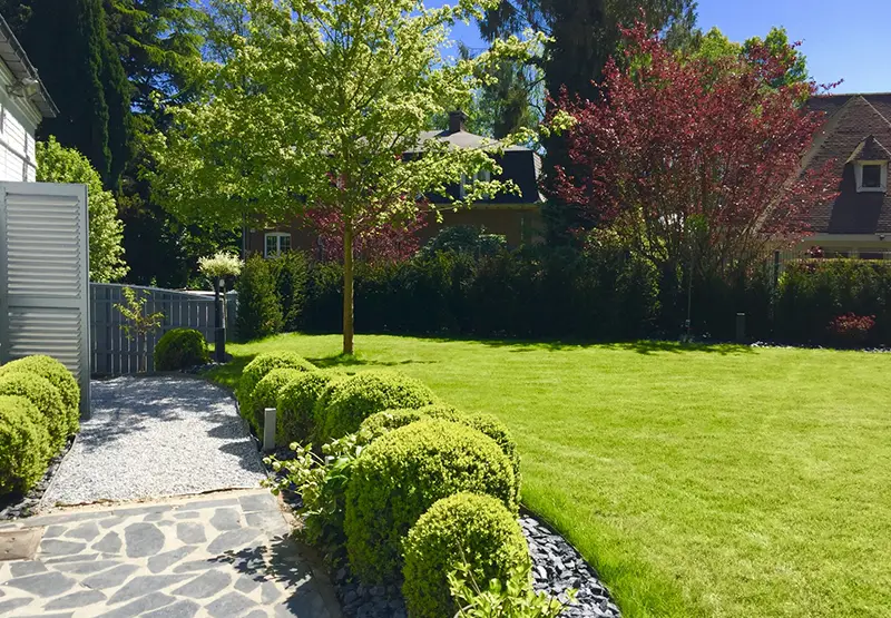 Création de votre jardin