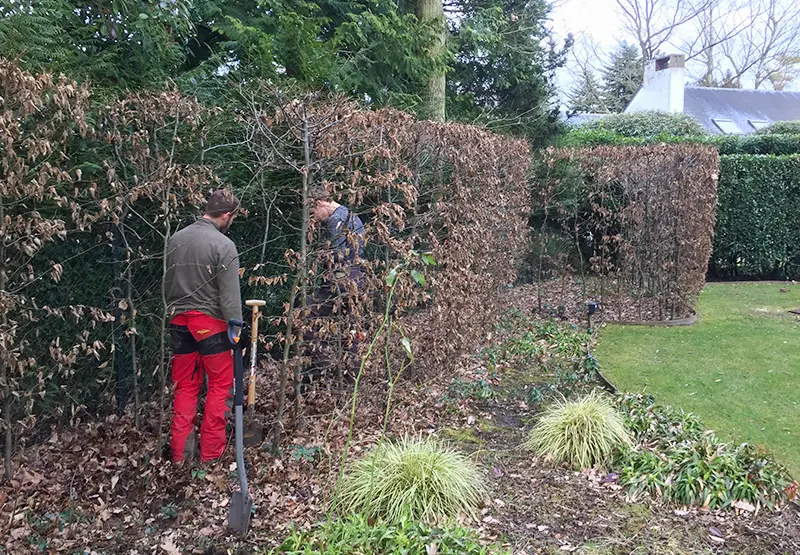 Entretien de vos espaces verts