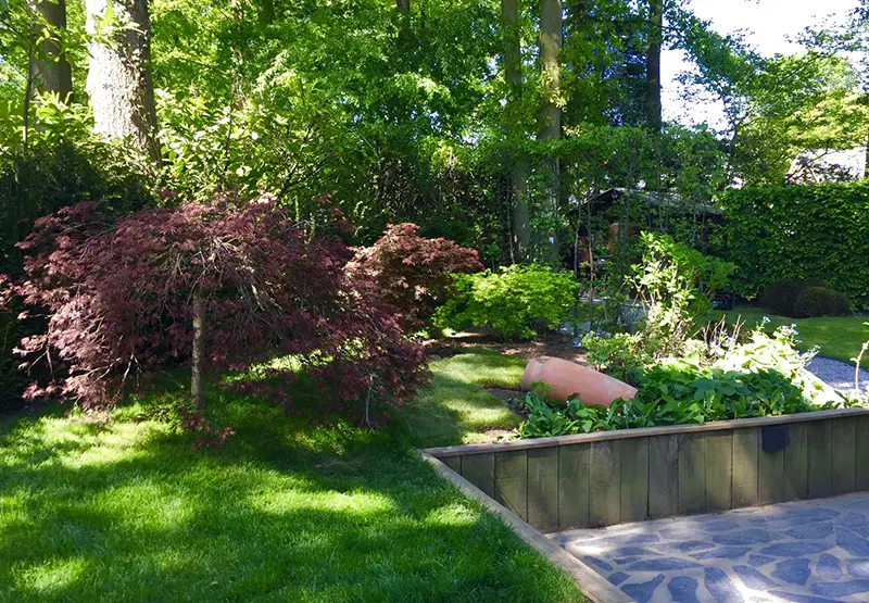 Arbres, haies, arbustes, plantes et fleurs